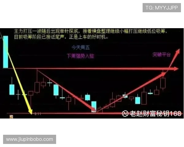 首尔衣恋主场激战城南一和争夺关键三分前瞻解析与赛季走势深度观察